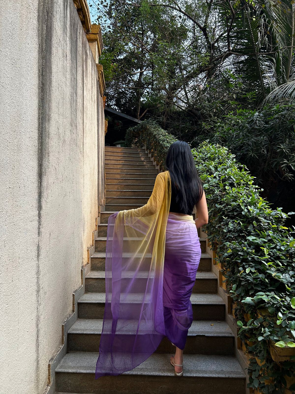 Ras in mustard and purple