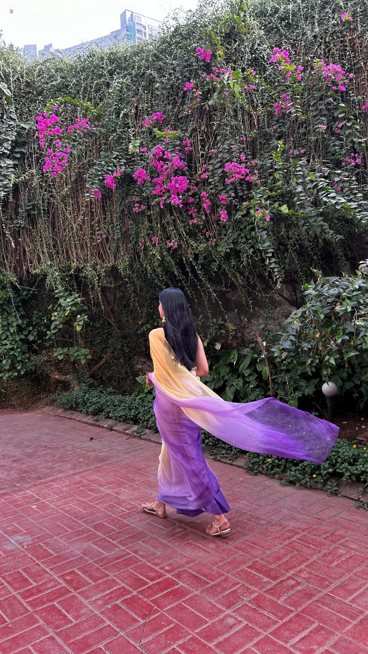 Ras in mustard and purple