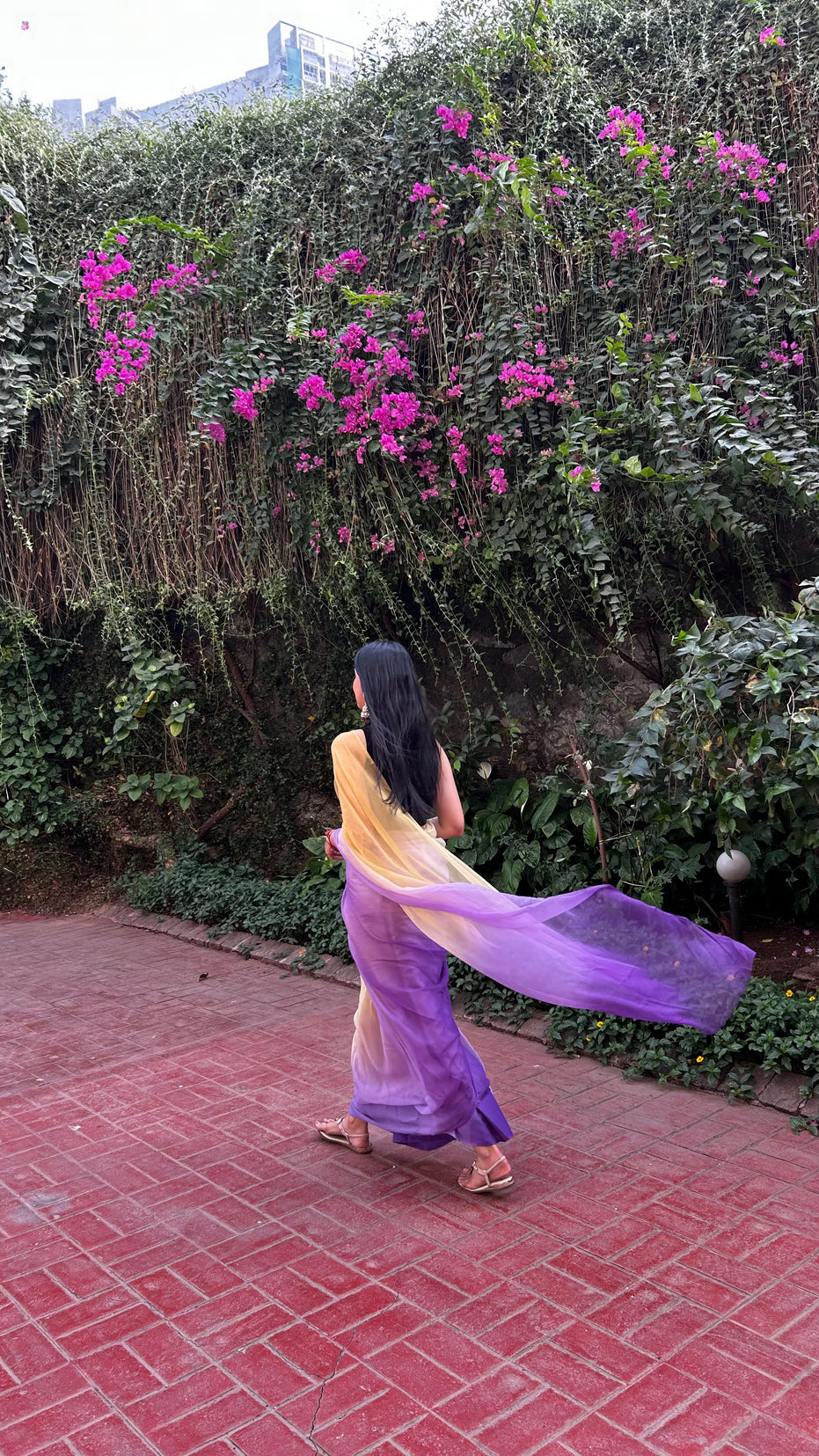 Ras in mustard and purple